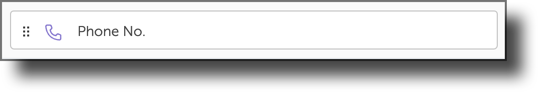 292._CPM_Form_Builder_Phone_No..png