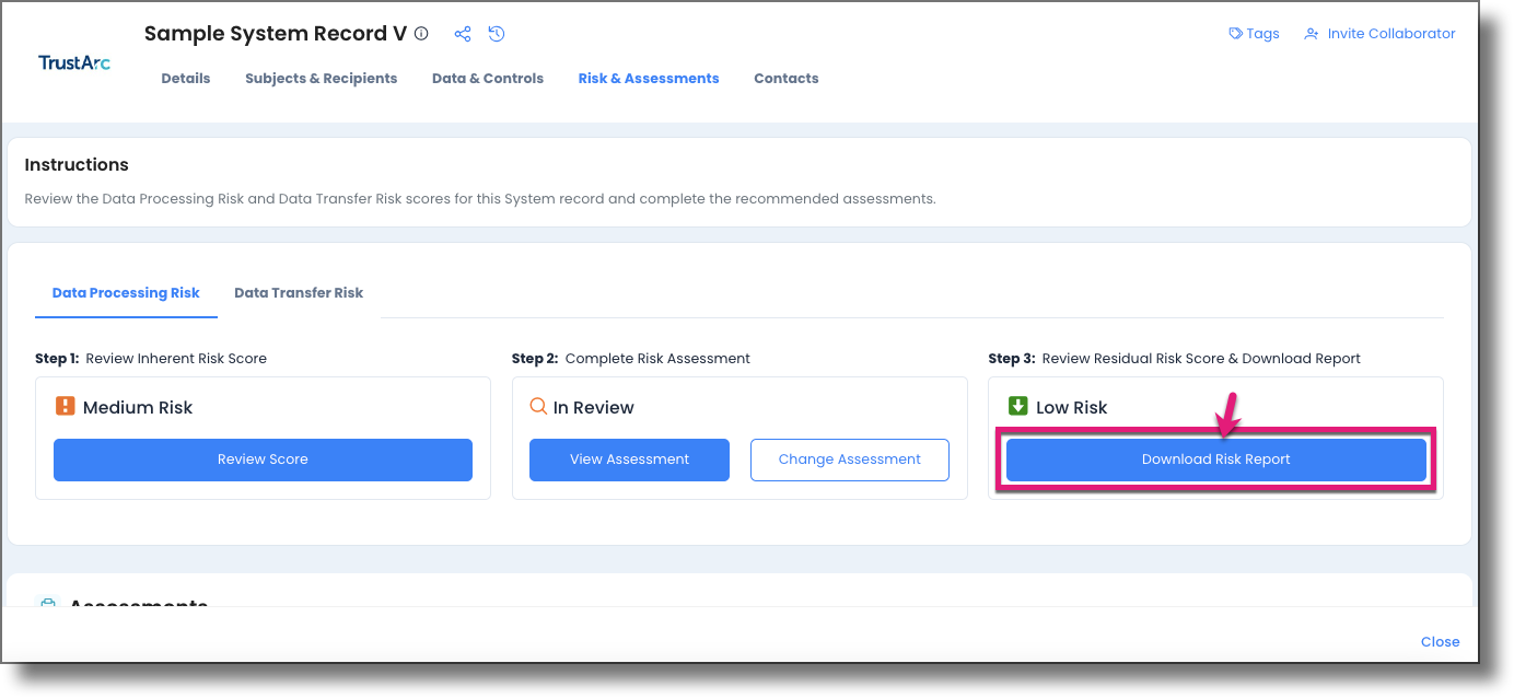 Download Risk Report button