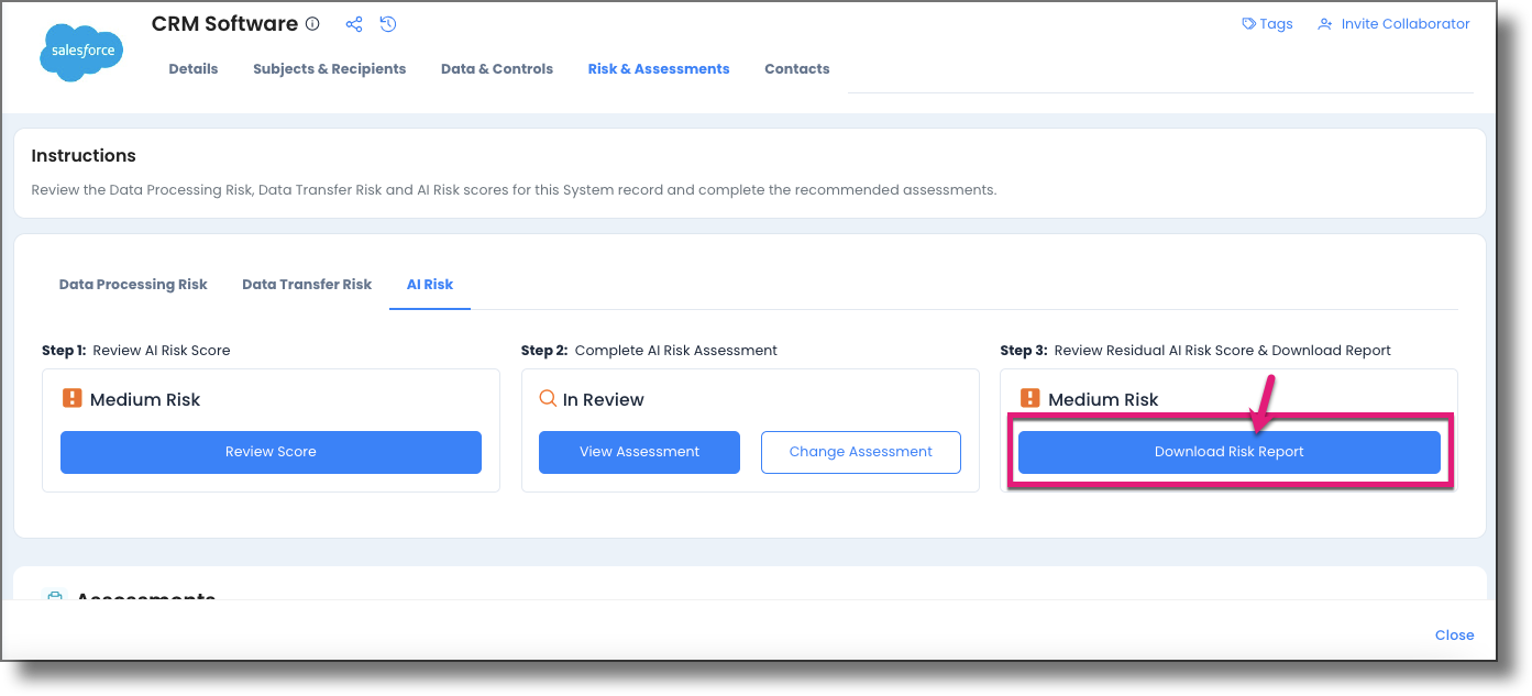 Download Risk Report button on AI Risk Step 3