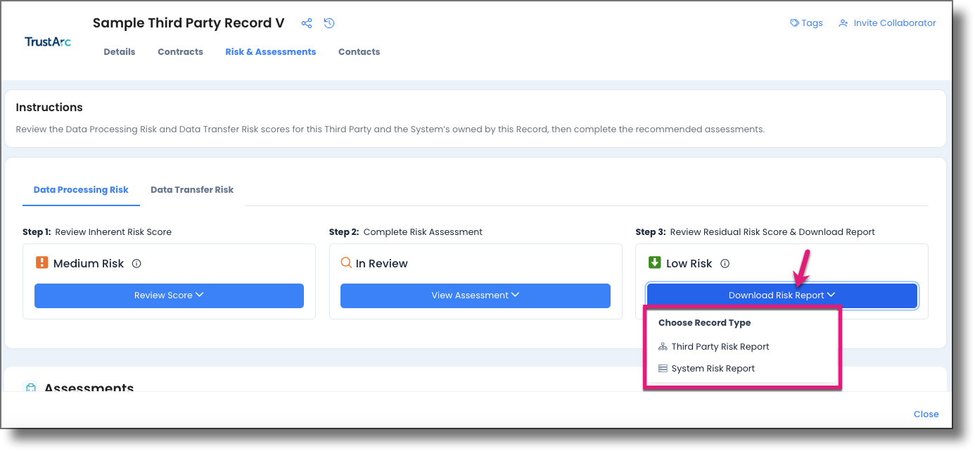 Step 3 column for Data Transfer Risk showing the Download Risk Report button and record type options