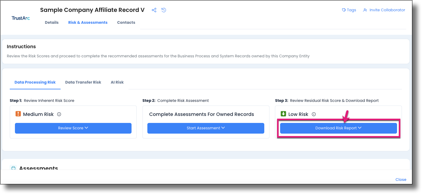 Download Risk Report button on Step 3 column