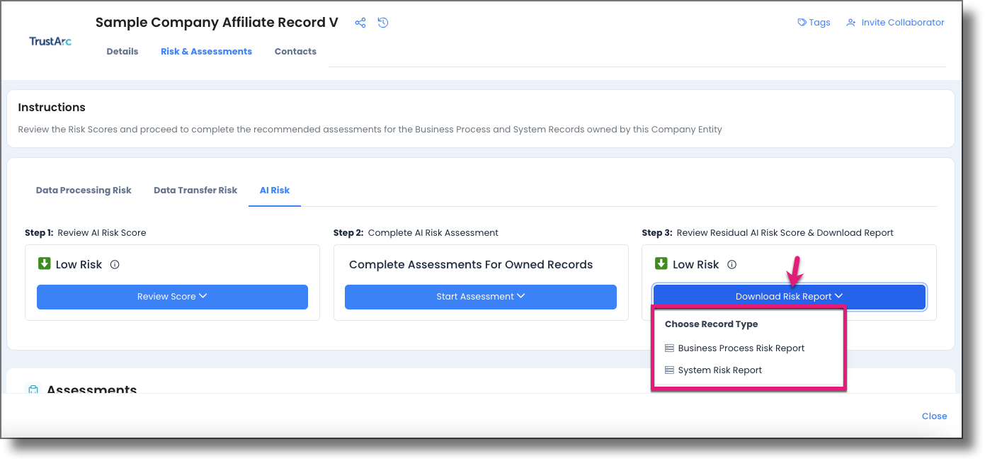 Download Risk Report button on AI Risk Step 3 column