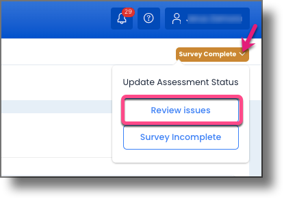 Assessment Status button context menu showing the Review Issues option