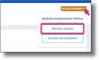 Assessment Status button context menu showing the Review Issues option