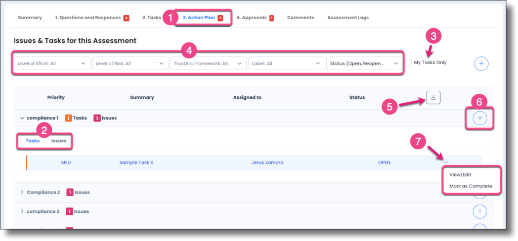 Action Plan section showing Tasks and Issues tabs, filter options, and section controls