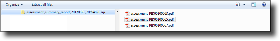 Downloaded report file showing a single PDF or a ZIP archive for multiple assessments
