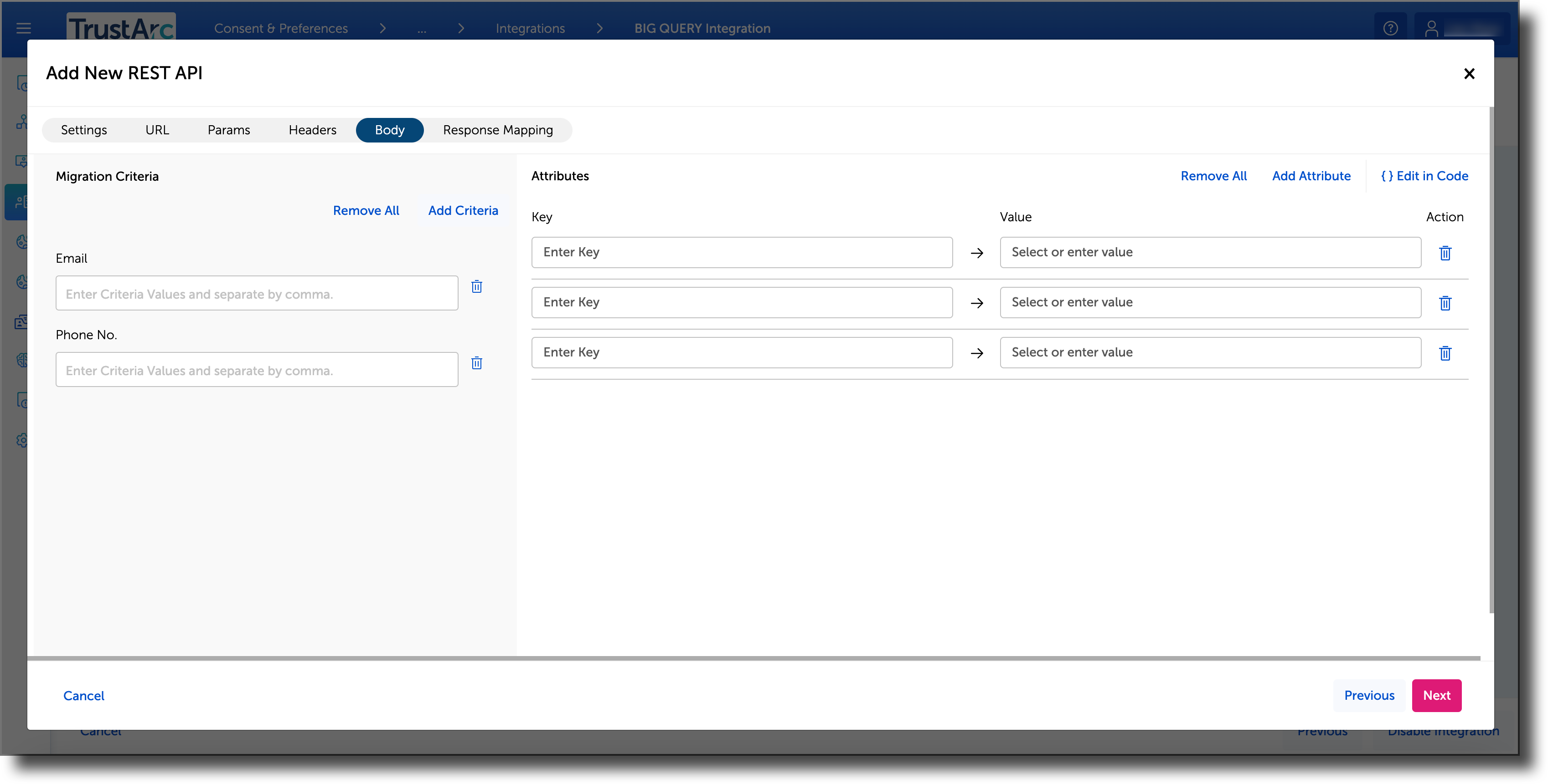 CPM_BigQuery Body Tab.png