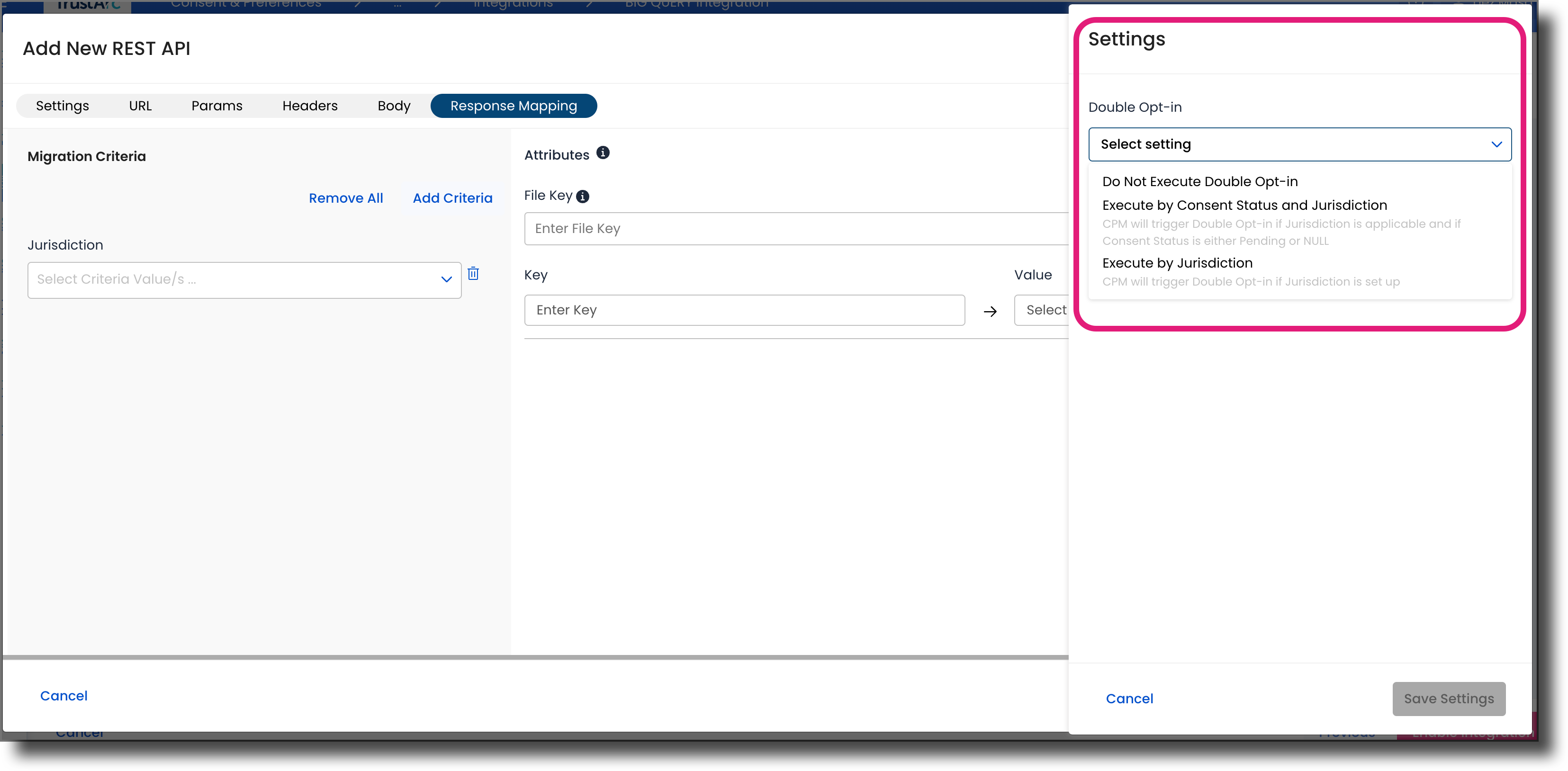 CPM_BigQuery DOI Settings.png