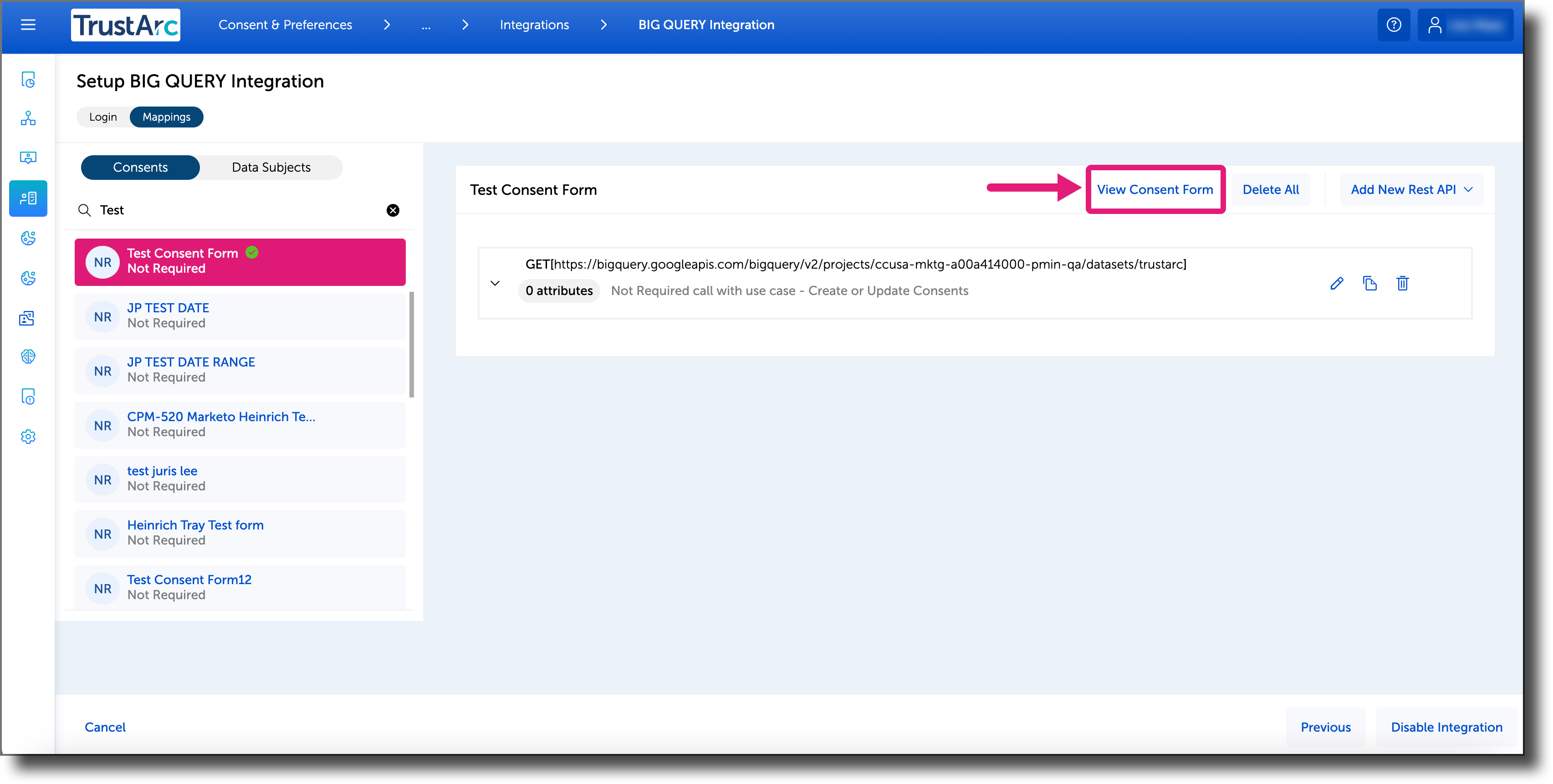 CPM_BigQuery View Consent Form.png