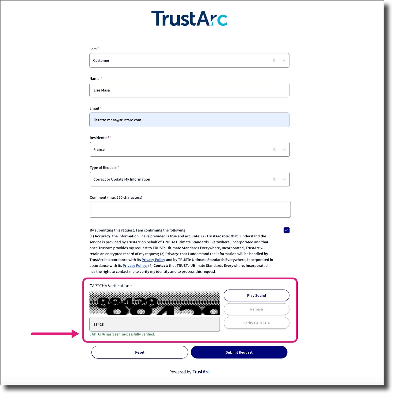 Successful Captcha Verification