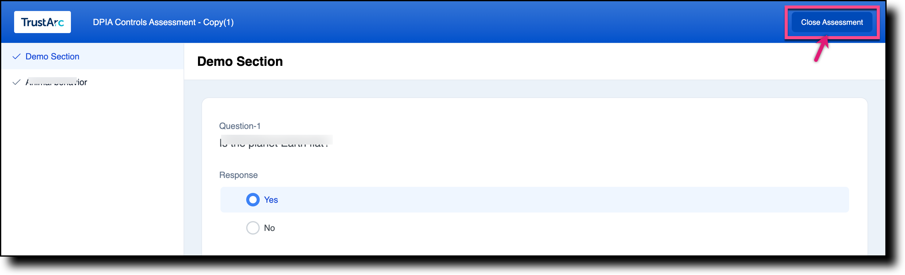 Questionnaire page showing the Close Assessment button at the top