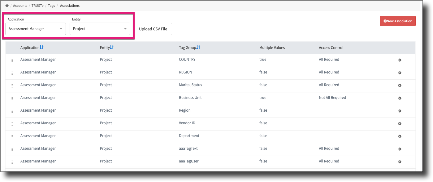 Associations page filtered by Assessment Manager application and Project entity