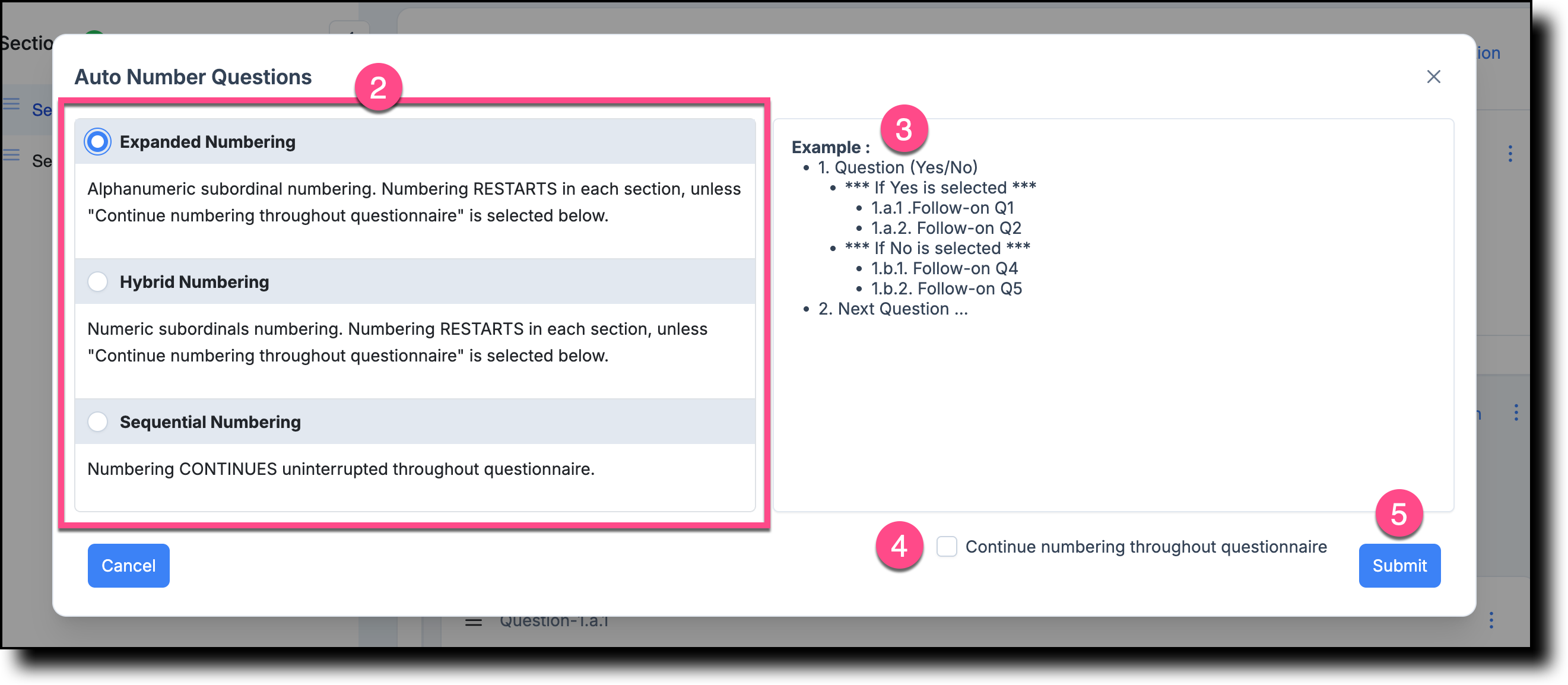 Auto-Number Questions dialog showing the three numbering schemes, the live example preview, the Continue numbering option, and the Submit button